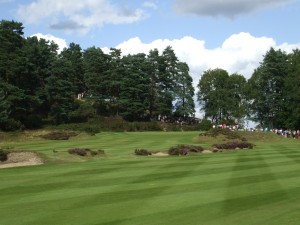 Sunningdale 013