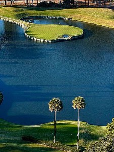 17thsawgrass 225x300 Where is my target?