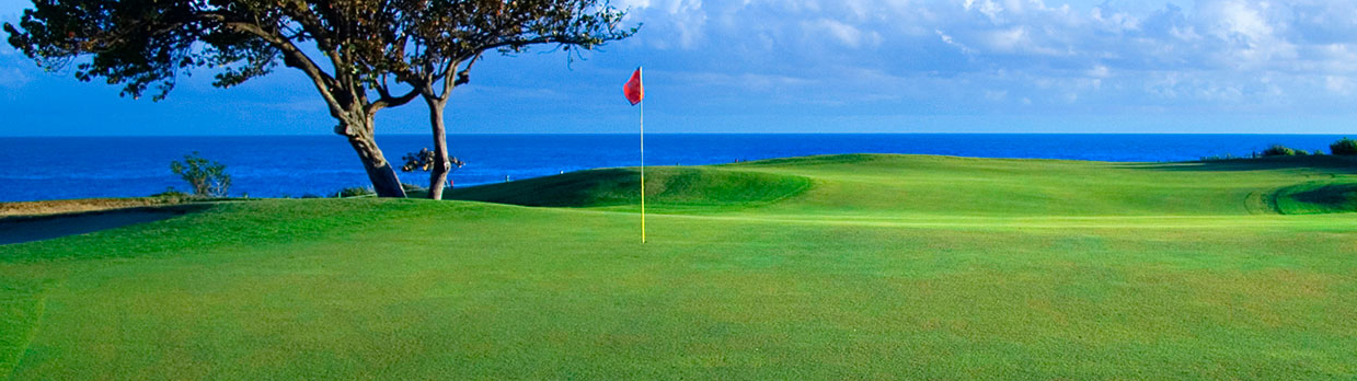 golf-tours